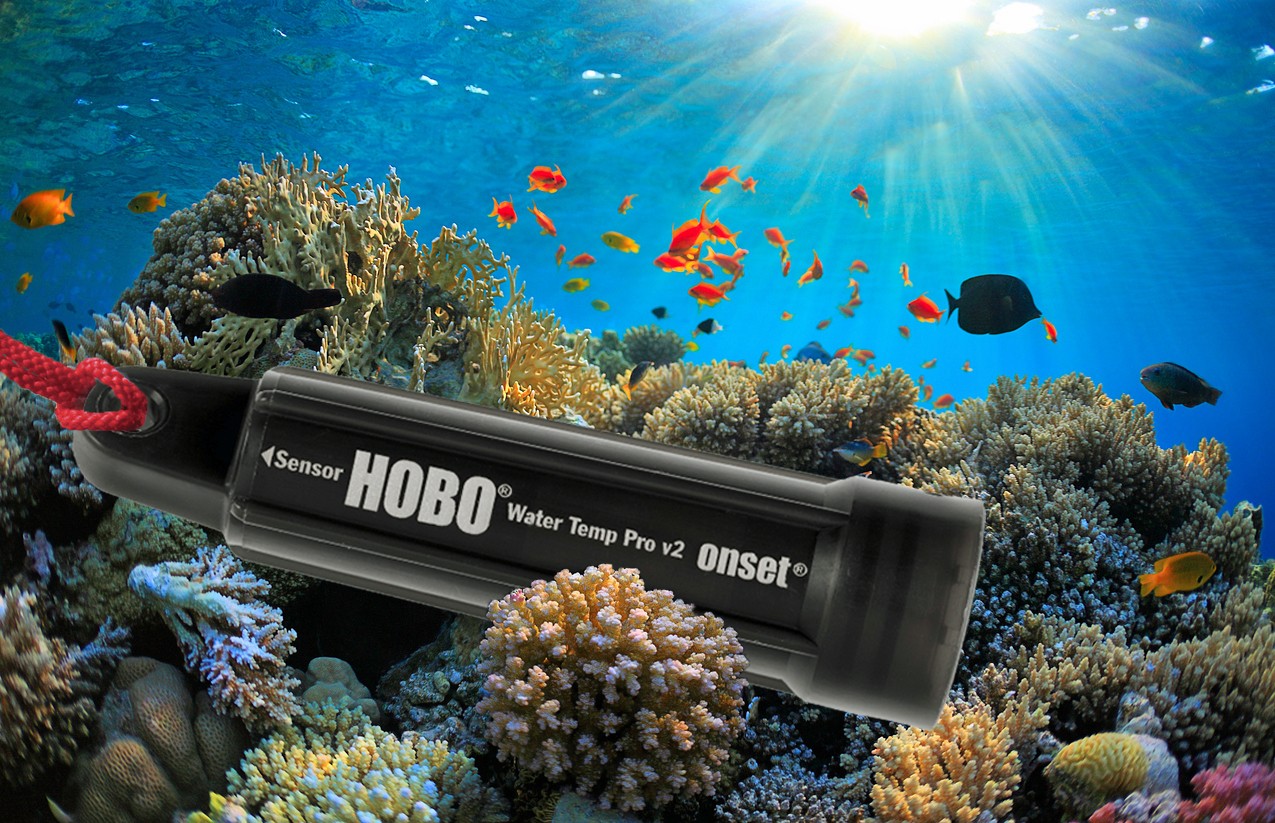 HOBO Datenlogger in Korallen